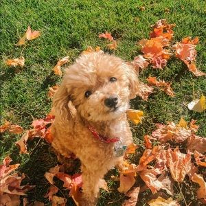 Meet your Posher, Kimberley